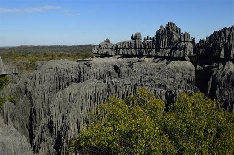 Tsingy De Bemaraha National Park Madagascar Stock Image Image Of