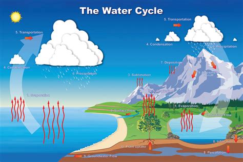 Diagram Diagram Of River In The Water Cycle Mydiagramonline