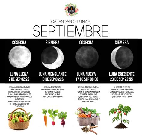 Sintético 103 Foto Calendario Lunar De Las Siembras Y Labores