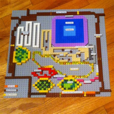 Animal and plant cell project idea. Lego cell model. | Cell model, Cell project, Plant and ...