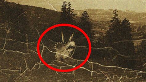 5 Most Mysterious Prehistoric Animals Spotted Alive Today