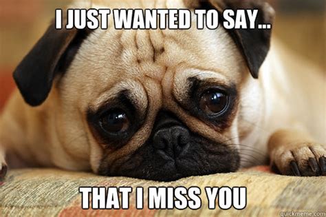 Maybe you would like to learn more about one of these? sad pug memes | quickmeme