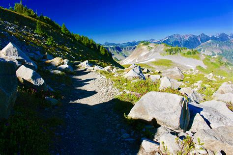 Ptarmigan Ridge Mount Baker Wilderness North Cascades Oregon Hikers