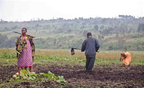 Africa Agro Industry Bringing The Value Into Value Chains