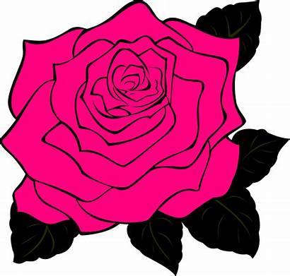 Clip Pink Rose Clipart Roses Cartoon Flower