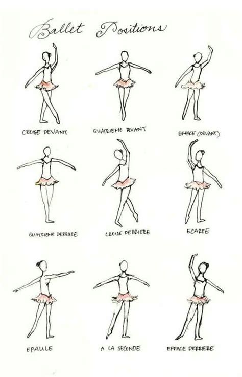 Positions En Ballet Classique Ballet Moves Ballet Technique Ballet
