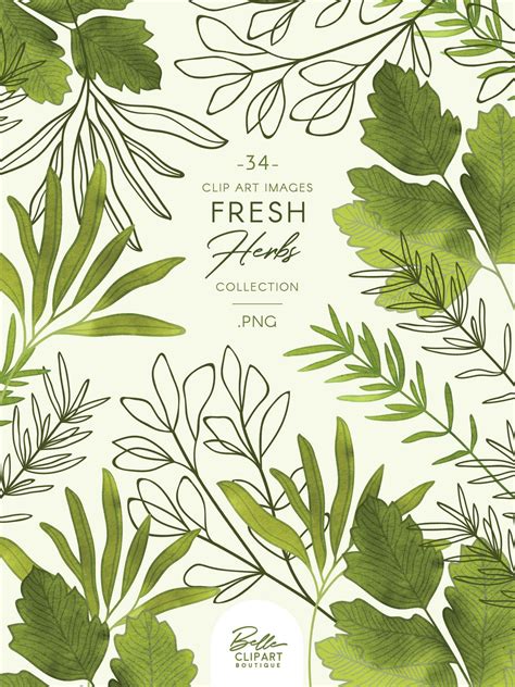 Green Leaves And Branches On A White Background With The Words Fresh