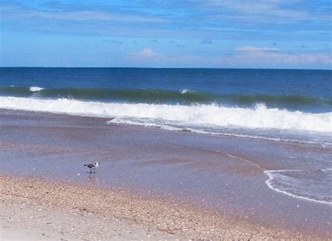 Great island cabin camp is a chalet in north carolina. Great Island Cabins - Campground Reviews (Davis, NC ...
