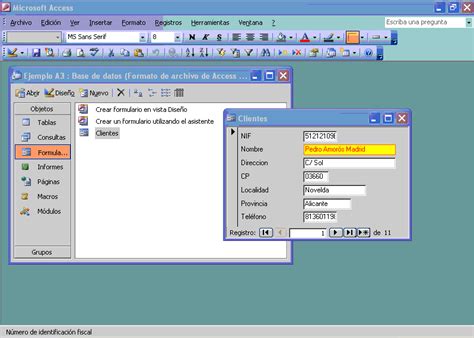 Informatica En La Administracion Formulario En Access