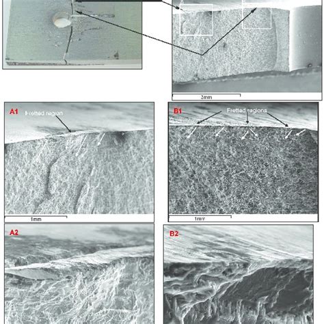 Fretting Fatigue Damage Zones And Crack Nucleation Sites Uncoated Al