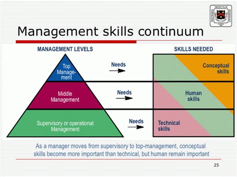 What are the three management skills, diploma in management consultancy ...