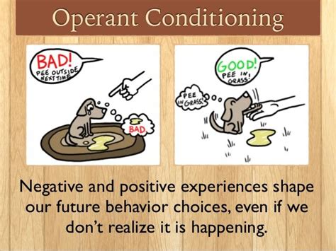 Operant Conditioning | Operant conditioning, Conditioner, Child