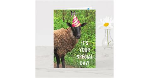 Sheep Joke Pun Birthday Card Zazzle