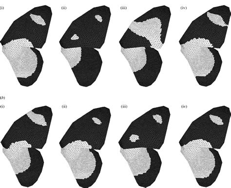 Figure 3 From A Model For Colour Pattern Formation In The Butterfly