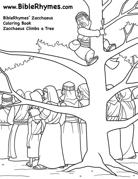 Printable Coloring Page Zacchaeus In A Tree