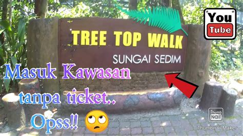 Canopy walkway, a structure allowing pedestrian access to a forest canopy. #7 TREE TOP WALK | SEDIM KULIM, KEDAH - YouTube