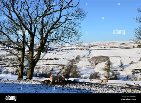 Snow On Haworth Moor In Winter Sunshine Bronte Country Yorkshire