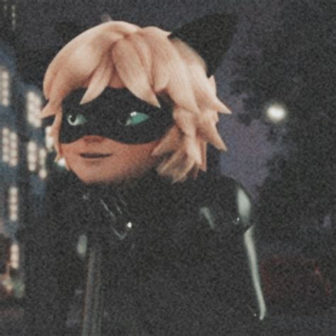 Wallpaper Cat Noir Aesthetic Pfp B Misterbug And Lady Noire Matching