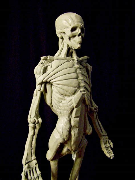 Some of the edges of the large muscles are sharply. RFX Design: DESIGN • ENERGY • MOTION: Ecorchè: The Final ...
