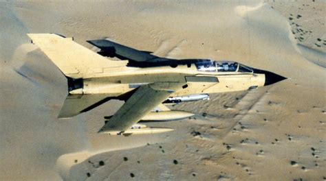 Legion 15 The Story Of The Italian Air Force Tornado Ids Shot Down During Operation Desert
