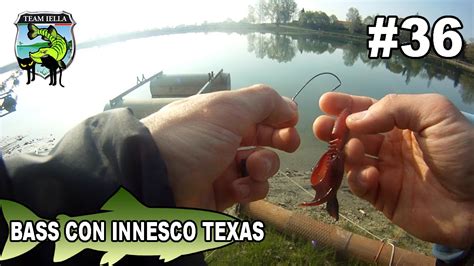 Pesca Al Bass Con Innesco Texas Bassfishing Youtube