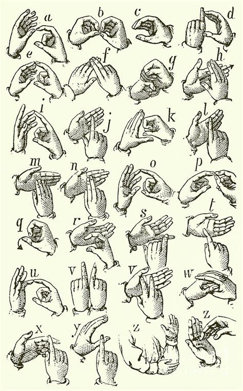 Sign Language Alphabet Drawing By English School Pixels