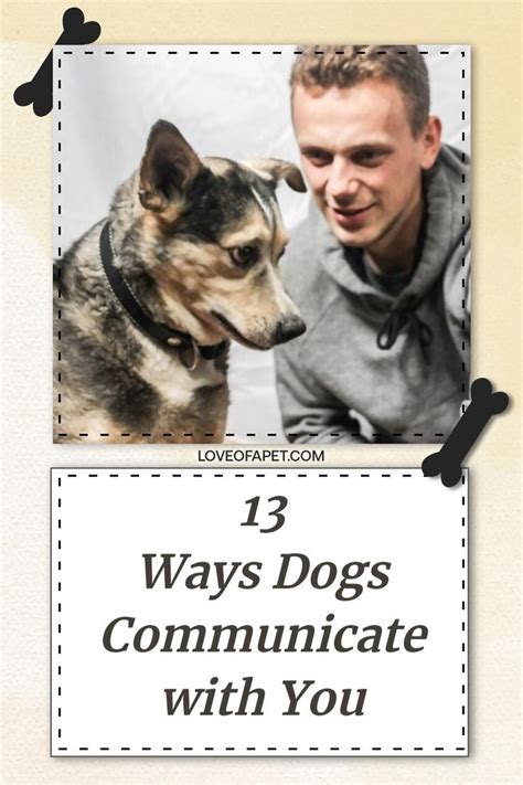 13 Ways Dogs Communicate With You Love Of A Pet In 2021 Dog
