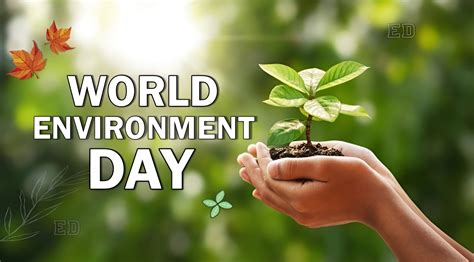 World Environment Day 2023 Pathways To Planet Protection