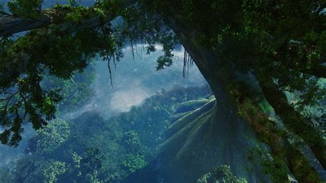 Image Avatar Forest Plants Film Blobclash Wiki Fandom Powered