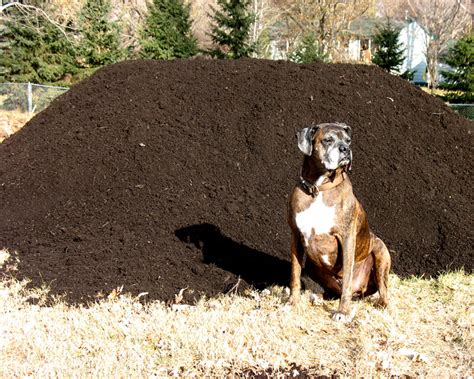 Consider the two unknowns variables are given as d and a. Puck and the Giant Mound of Dirt - VEGarden