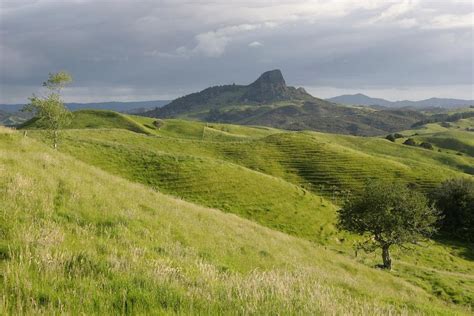 Green Pastures Of Northland New Zealand Wildernesscapes