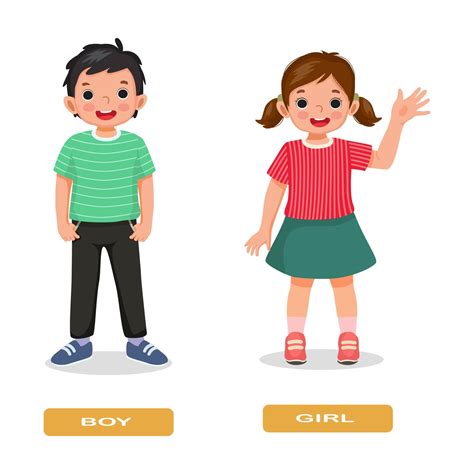 Opposite adjective antonym words boy and girl illustration explanation