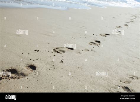 Footprints In Sand At The Beach Stock Photo Alamy