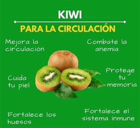 Kiwi Propiedades Beneficios Y Valor Nutricional De Esta Fruta Para Su