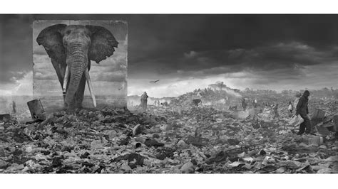Harrowing Photographs Depict East Africas Dystopian Future Gizmodo