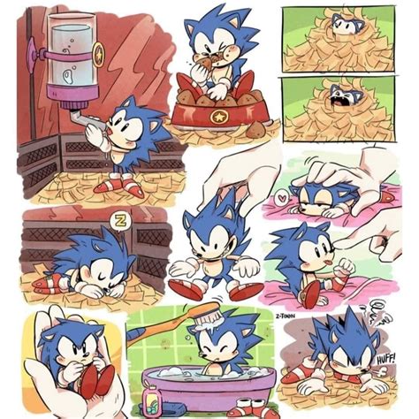 Taking Care Of Sonic Sonic The Hedgehog Sonic The Hedgehog Sonic Funny Classic Sonic