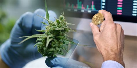 Cannabis And Crypto Strange Bedfellows