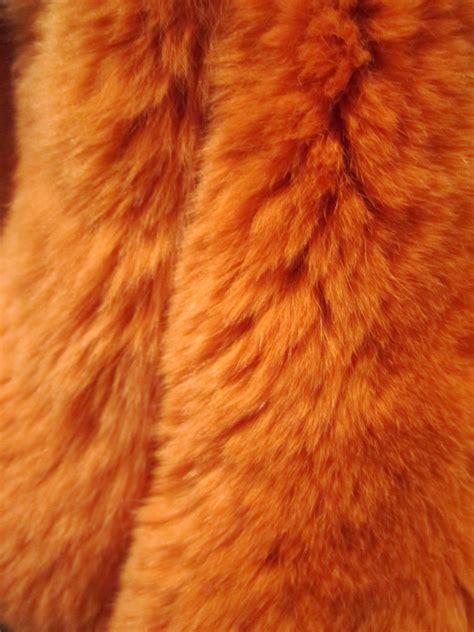 Orange fur...does it get better? | Orange aesthetic, Shades of orange, Orange wallpaper