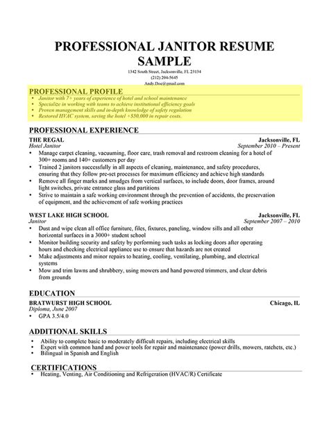 Cv Personal Profile Bullet Points 20 Resume Profile Examples How To