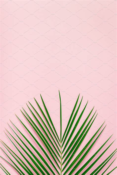 Tropical Leaf On Pastel Background ~ Abstract Photos ~ Creative Market