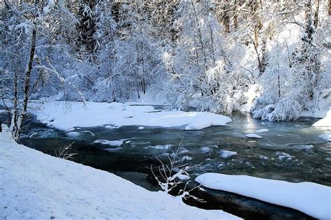 Winter River Trees Snow Bach Landscape Wintry Cold Frost