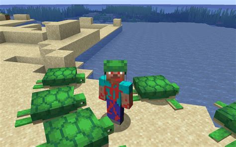 How To Get Turtle Shells In Minecraft 118