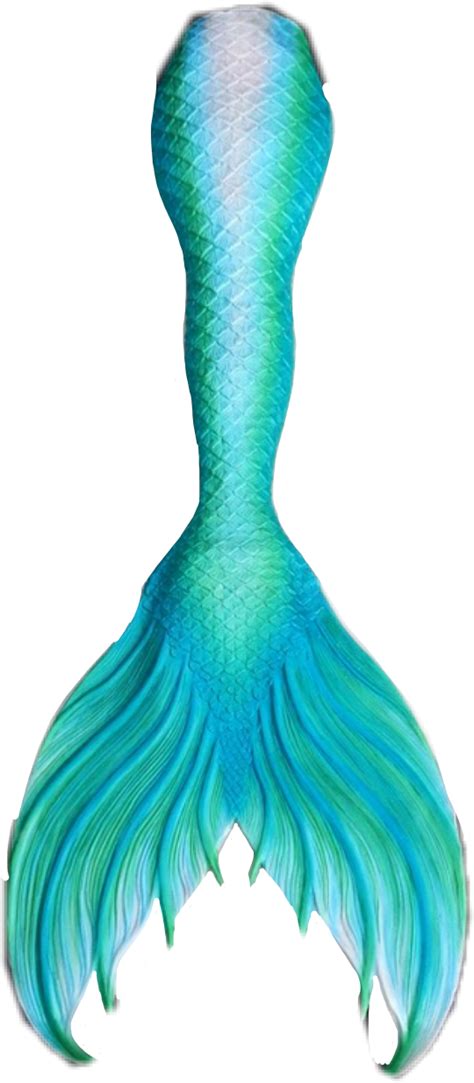 Sticker Tail Mermaid Clip Art Mermaid Png Download 5401234 Free