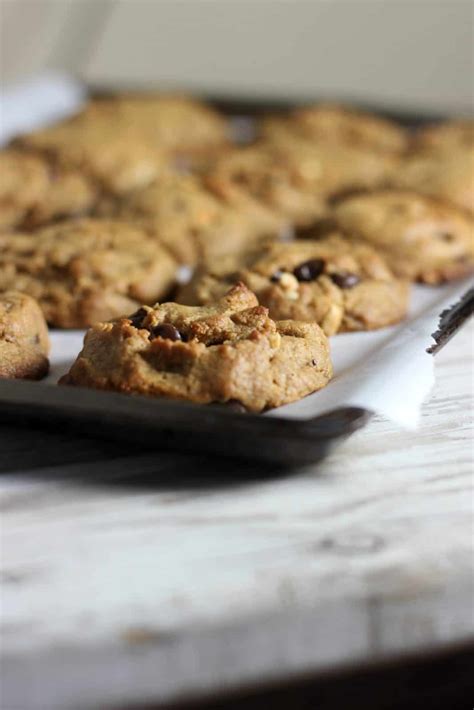 It has a good chew, and a nice shattering crust that i in the process of finding the most reliable results for best dark chocolate for baking, our team often base on the popularity, quality, price. Peanut Butter Yogurt Cookies with Dark Chocolate - The ...