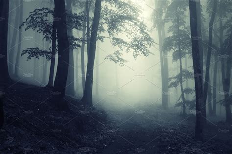 Mysterious Dark Fantasy Foggy Forest Nature Photos Creative Market