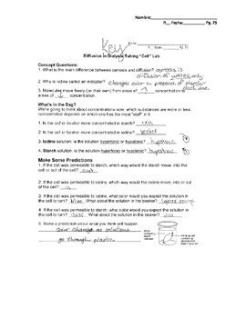 If for example, nacl is dissolved in water so that the concentration is initially higher in one part of the water than the other, _____ will occur so that there is a net. Diffusion in Dialysis Tubing Lab Student Worksheet by Mrs ...