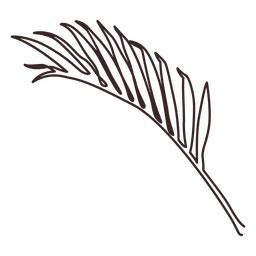 Decorative line black png picture resolution: Ilustración de hoja de palma tropical - Descargar PNG/SVG ...