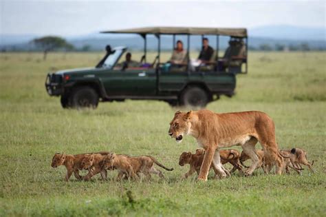 Private Serengeti Honeymoon Safari Romantic Tanzania Adventure