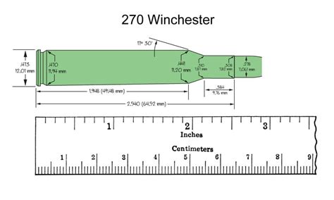 Popular Hunting Calibers The 270 Winchester