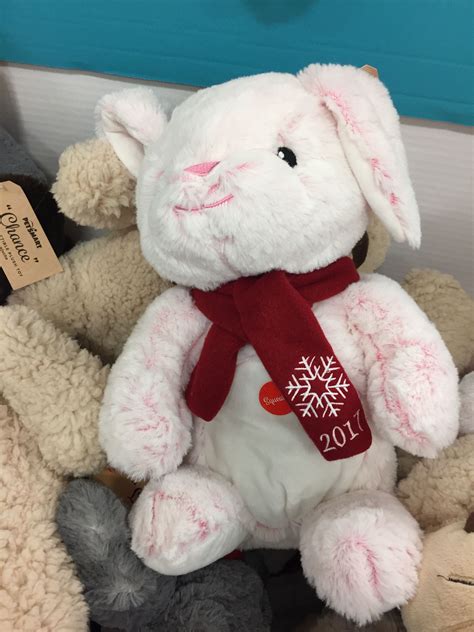 Petsmart has everything you need to keep your new friend happy and healthy including cages, feeders and water bottles. This is Hope !!! The new bunny from Petsmart !!! Only $ 5 ...